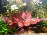 20181224_104949.webp