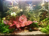 20181224_104911.webp