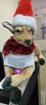 Olen_pig.webp