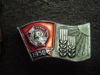 DSC02175.webp