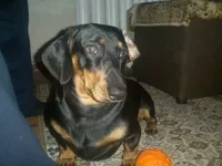 1545307228177.webp