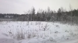 29122018008.webp