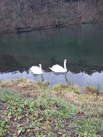 _20181230_212809.webp