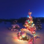 37D7576C-3968-4CE5-B799-71FD30E56B5F.jpg