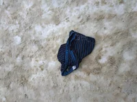 IMG_20181231_122351.webp