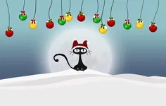 FB_IMG_1546239880766.webp