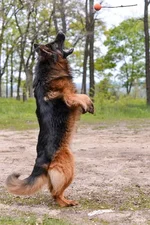 3b23672dfb8d.webp