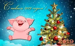IMG-ba47274db35f0590444cab6dc8335e73-V.webp