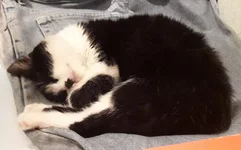 rmsleep.webp