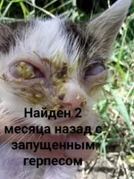 47571253_106353100402868_1717990045136191488_n.webp