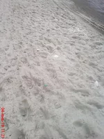 DSC02937.webp