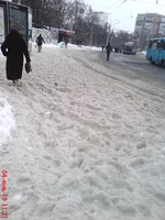 DSC02938.webp