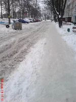 DSC02940.webp