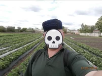 Клубника.jpg