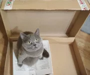  в коробке.webp