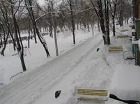 P1010025.webp