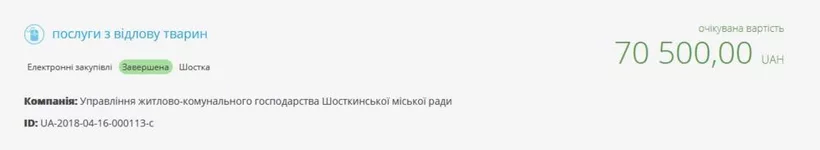 5.webp