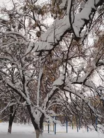 IMG_20190113_082405.webp