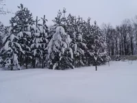 20190113_093916.jpg