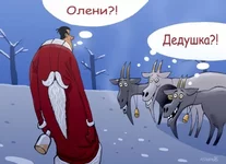 295333_600.webp