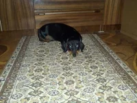1544802272556.webp