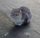 0863.webp
