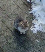 0860.webp