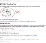 dnssec1111.PNG
