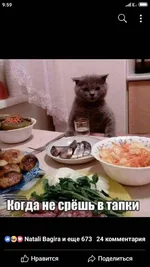 viber image.webp