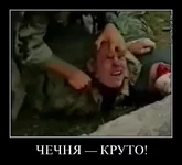 fno44m5txnby.webp
