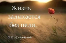 591988.webp