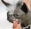 avatar9816_1.webp
