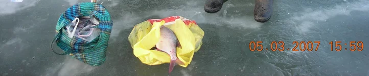  DSCN0129.webp
