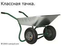 tachka.webp