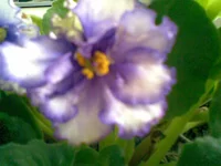 .webp