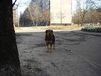 PC190013.webp