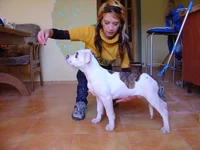 DSC02942.webp