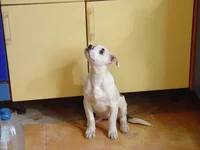 DSC02935.webp