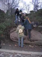 Resize of IMG_7979.webp