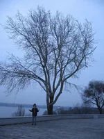 Resize of Rotation of IMG_7998.webp