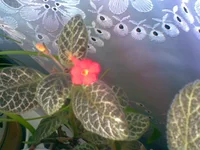 03.webp