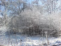 DSC00073.webp