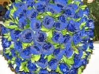 blue_roses.webp