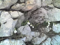 19.webp