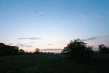 456.gif