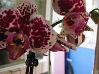 IMG_6773.JPG