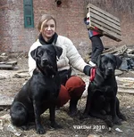 28.03.10_127 обр.webp