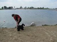 IMG_6951.webp