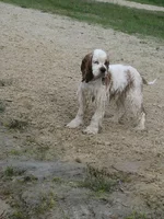 IMG_6988.webp