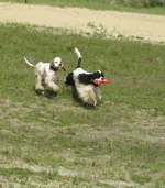 IMG_7000.webp